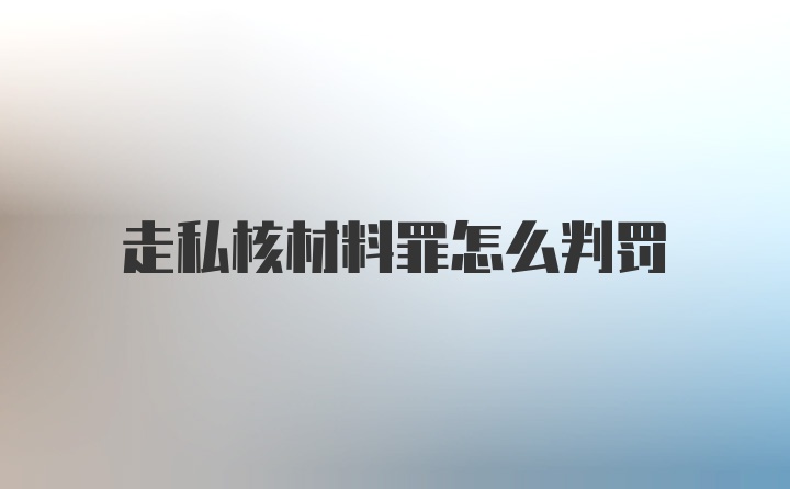 走私核材料罪怎么判罚