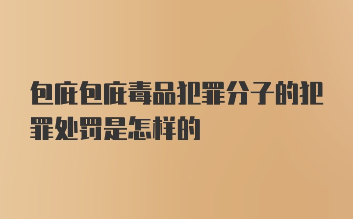 包庇包庇毒品犯罪分子的犯罪处罚是怎样的