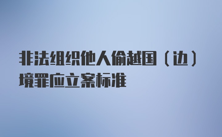 非法组织他人偷越国（边）境罪应立案标准