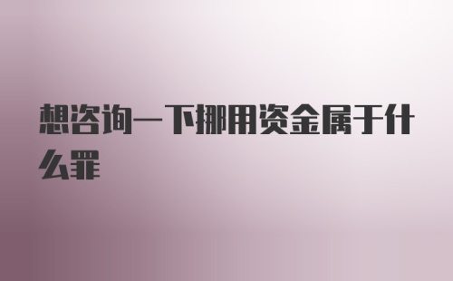 想咨询一下挪用资金属于什么罪