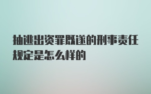 抽逃出资罪既遂的刑事责任规定是怎么样的