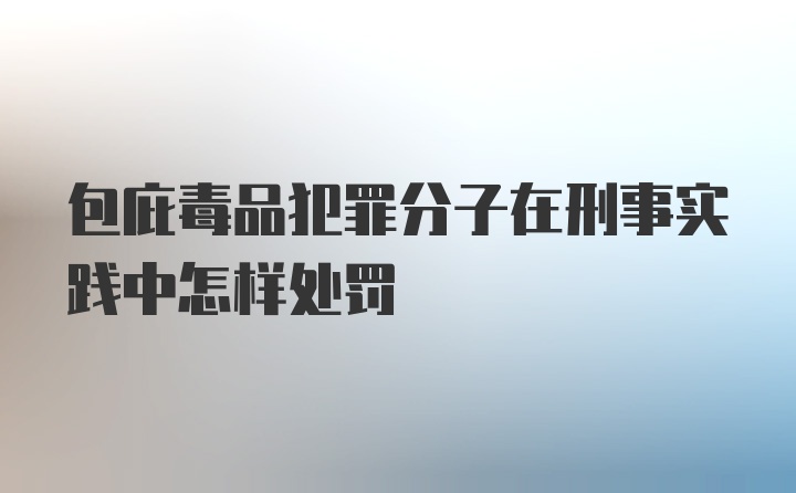 包庇毒品犯罪分子在刑事实践中怎样处罚