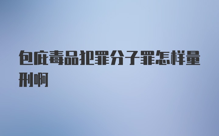 包庇毒品犯罪分子罪怎样量刑啊