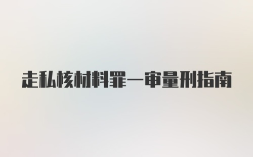 走私核材料罪一审量刑指南