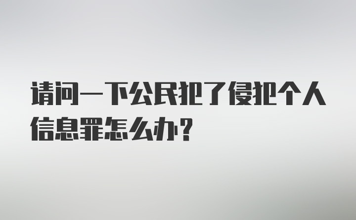 请问一下公民犯了侵犯个人信息罪怎么办？