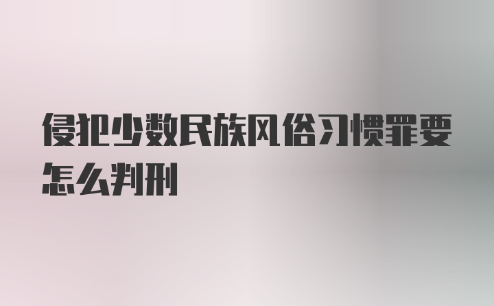 侵犯少数民族风俗习惯罪要怎么判刑