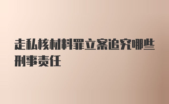 走私核材料罪立案追究哪些刑事责任