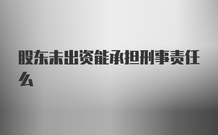 股东未出资能承担刑事责任么