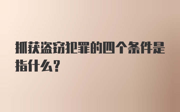 抓获盗窃犯罪的四个条件是指什么？