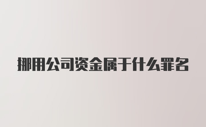 挪用公司资金属于什么罪名