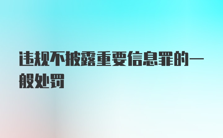 违规不披露重要信息罪的一般处罚