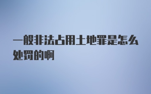 一般非法占用土地罪是怎么处罚的啊