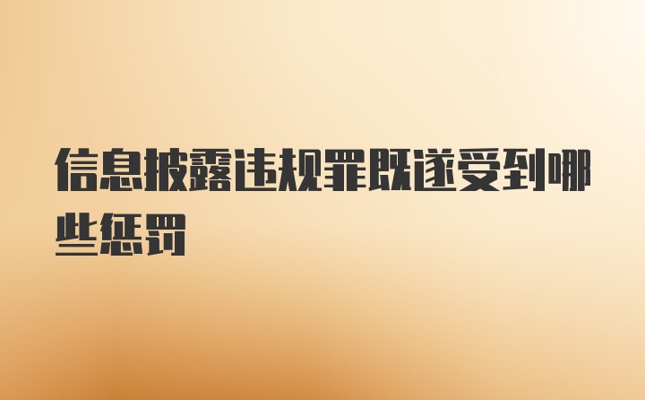 信息披露违规罪既遂受到哪些惩罚