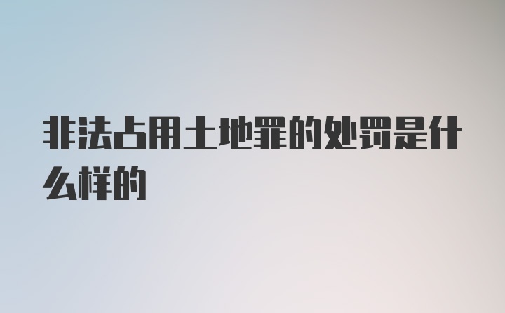 非法占用土地罪的处罚是什么样的