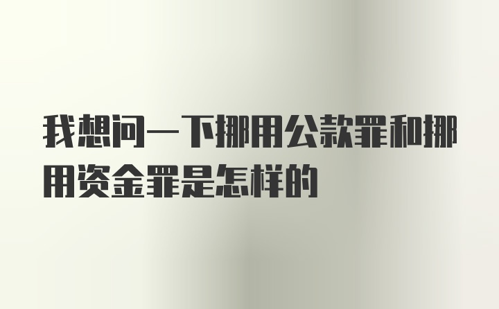 我想问一下挪用公款罪和挪用资金罪是怎样的