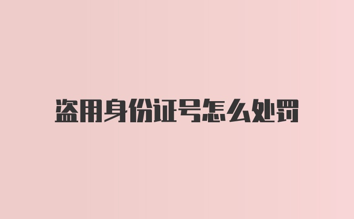 盗用身份证号怎么处罚