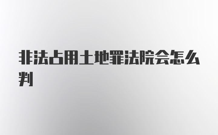 非法占用土地罪法院会怎么判