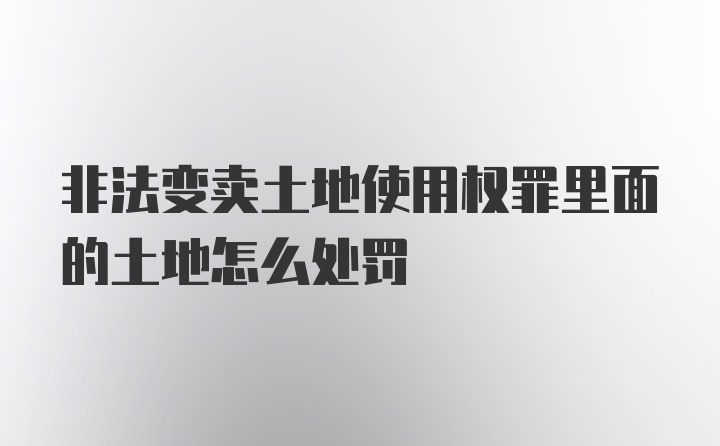 非法变卖土地使用权罪里面的土地怎么处罚