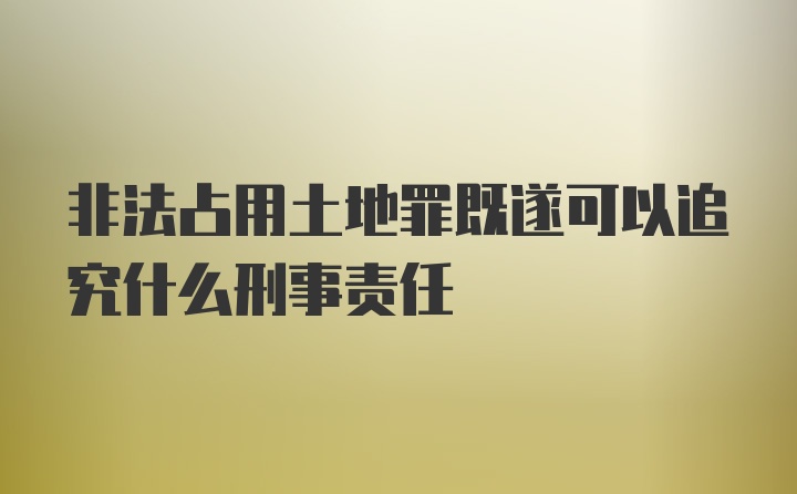 非法占用土地罪既遂可以追究什么刑事责任