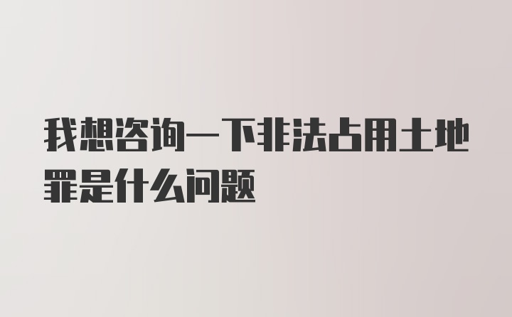 我想咨询一下非法占用土地罪是什么问题