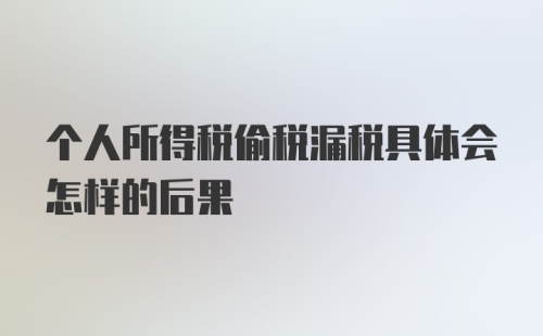 个人所得税偷税漏税具体会怎样的后果