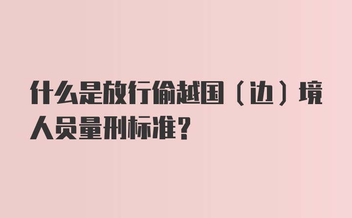 什么是放行偷越国(边)境人员量刑标准？