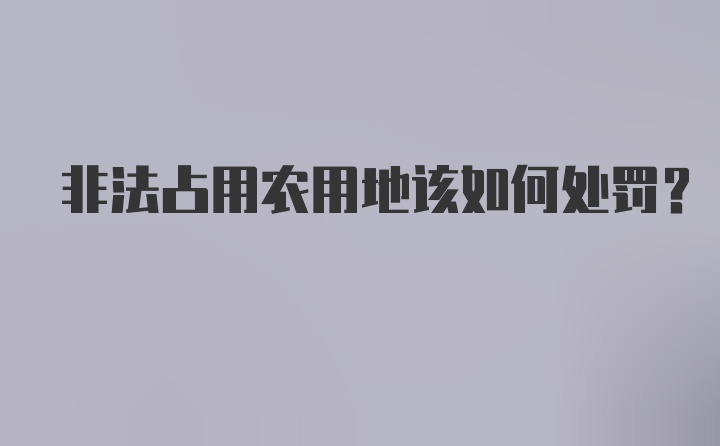 非法占用农用地该如何处罚？