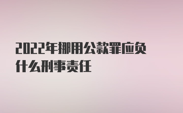 2022年挪用公款罪应负什么刑事责任