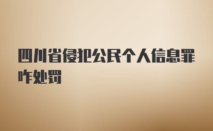 四川省侵犯公民个人信息罪咋处罚