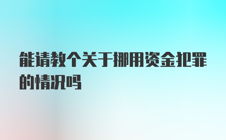 能请教个关于挪用资金犯罪的情况吗