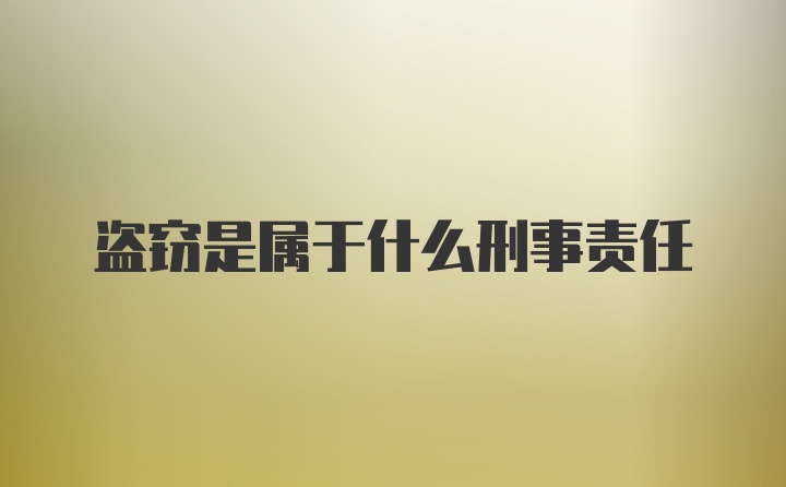 盗窃是属于什么刑事责任