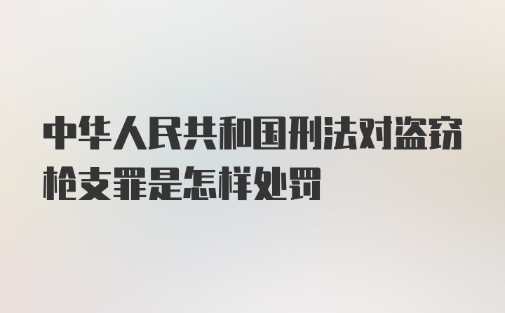 中华人民共和国刑法对盗窃枪支罪是怎样处罚