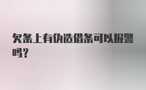 欠条上有伪造借条可以报警吗？