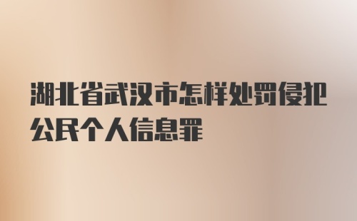 湖北省武汉市怎样处罚侵犯公民个人信息罪