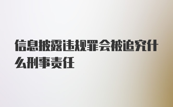 信息披露违规罪会被追究什么刑事责任