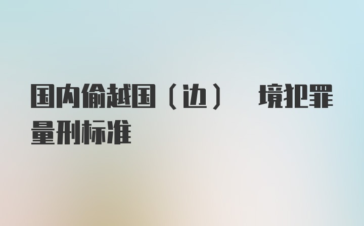 国内偷越国(边) 境犯罪量刑标准