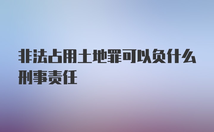 非法占用土地罪可以负什么刑事责任