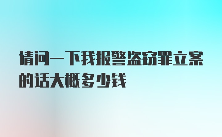 请问一下我报警盗窃罪立案的话大概多少钱