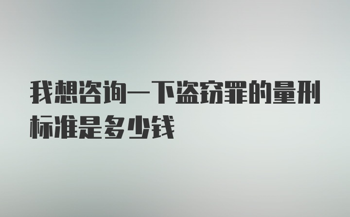 我想咨询一下盗窃罪的量刑标准是多少钱