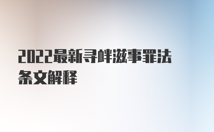 2022最新寻衅滋事罪法条文解释