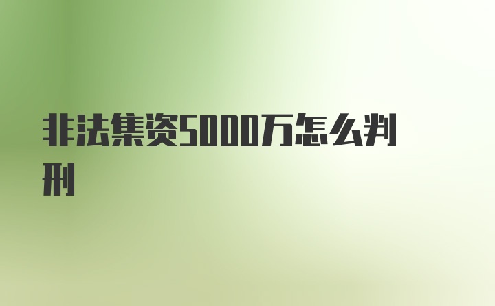 非法集资5000万怎么判刑