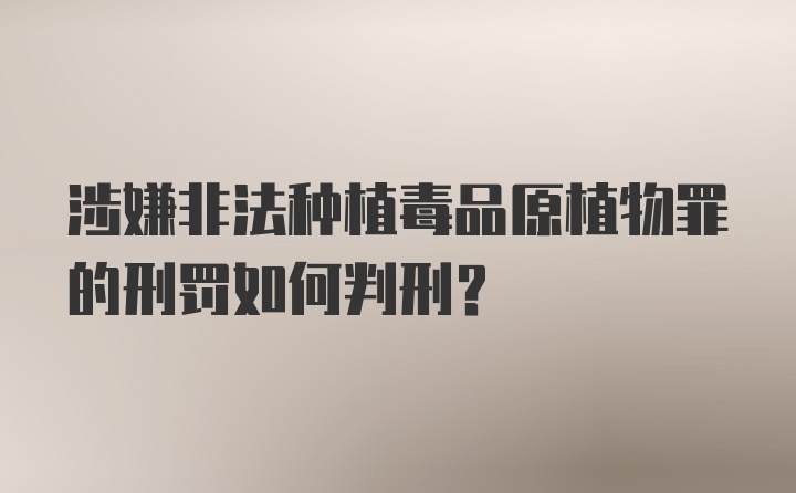 涉嫌非法种植毒品原植物罪的刑罚如何判刑？