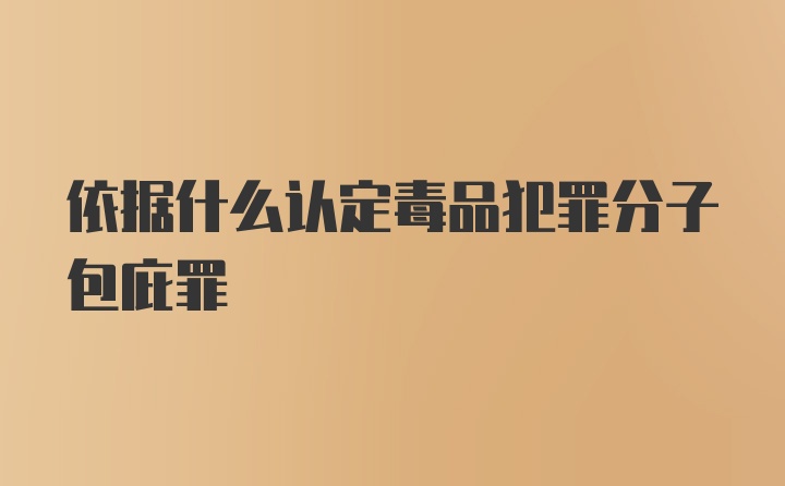 依据什么认定毒品犯罪分子包庇罪