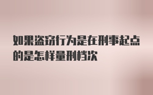 如果盗窃行为是在刑事起点的是怎样量刑档次