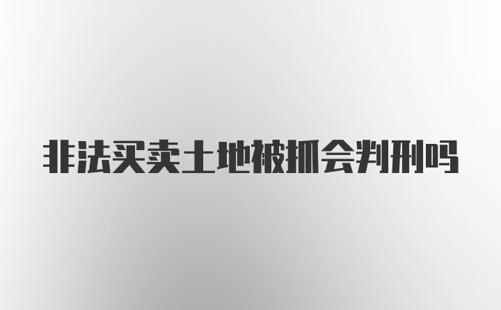 非法买卖土地被抓会判刑吗