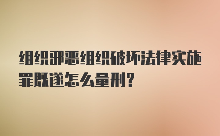 组织邪恶组织破坏法律实施罪既遂怎么量刑？