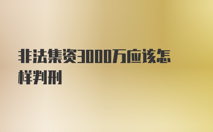 非法集资3000万应该怎样判刑