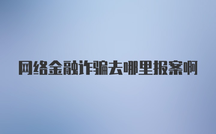 网络金融诈骗去哪里报案啊