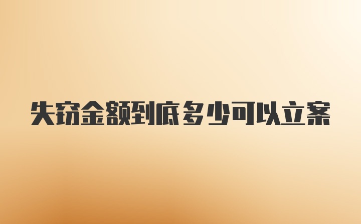 失窃金额到底多少可以立案