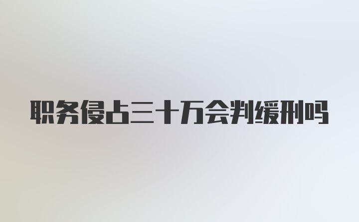 职务侵占三十万会判缓刑吗